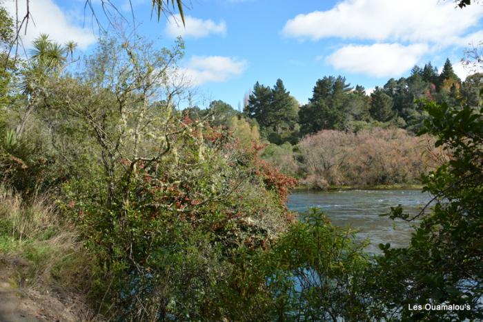 Huka Falls