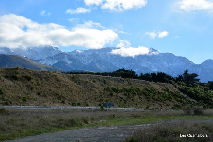 Kaikoura