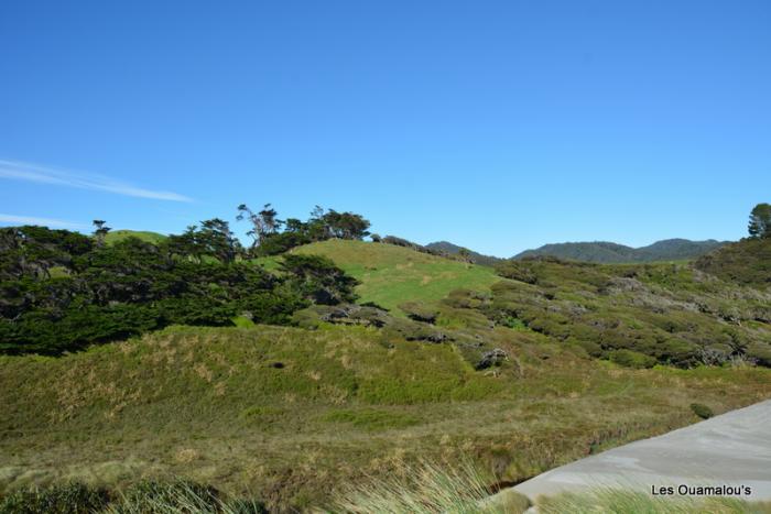 Wharakiri beach