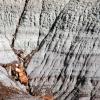 Petrified Forest National Park