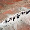 Painted Desert