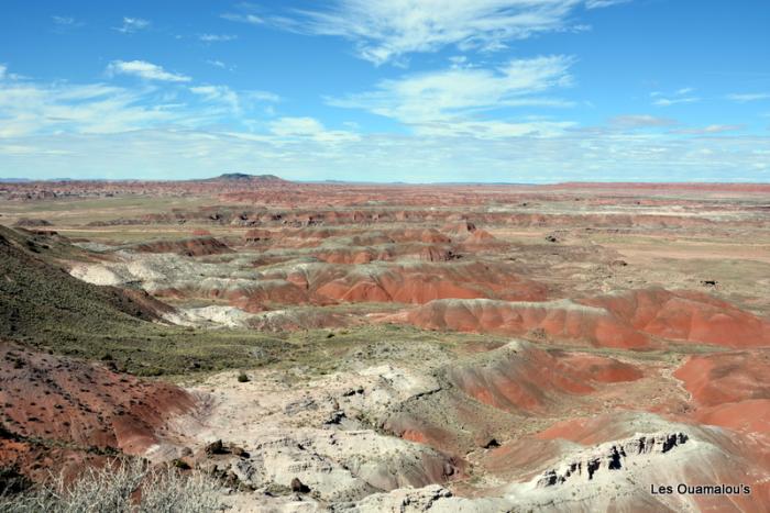 Painted Desert