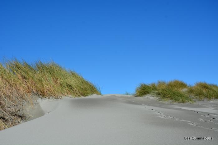 Wharakiri beach