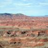 Painted Desert