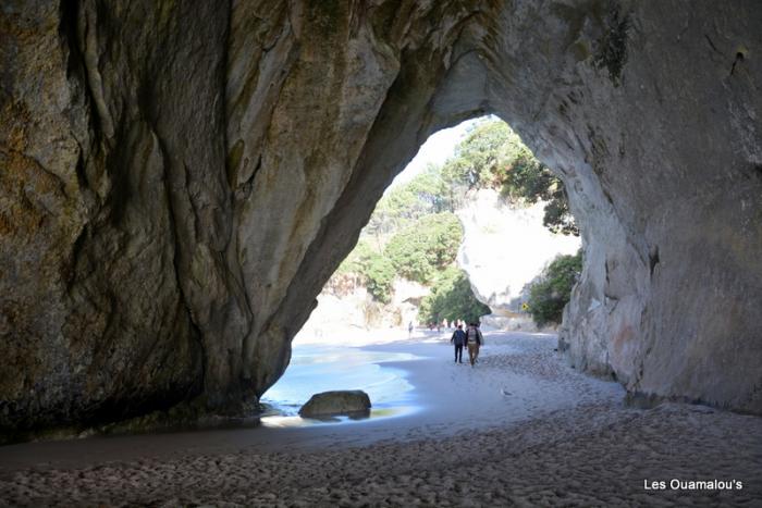 Cathedral Cove