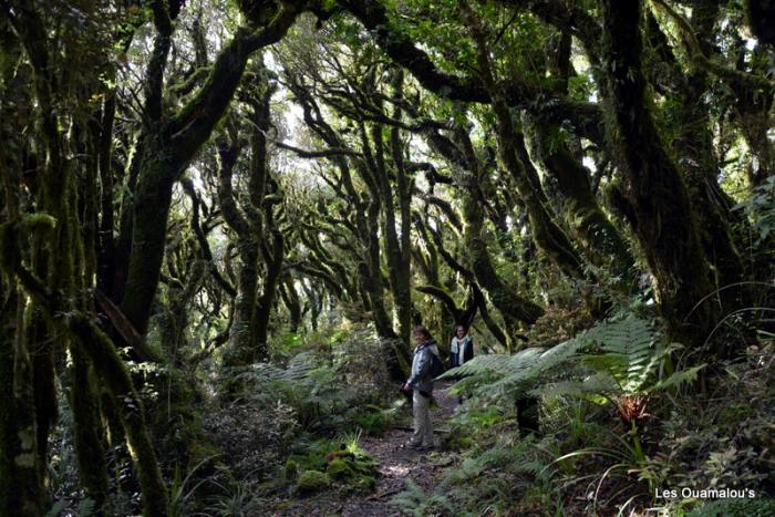 Egmont National Park