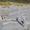 Wharakiri beach