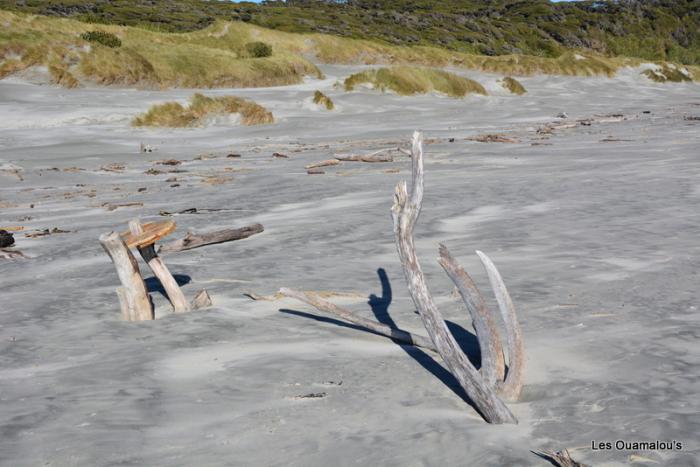 Wharakiri beach