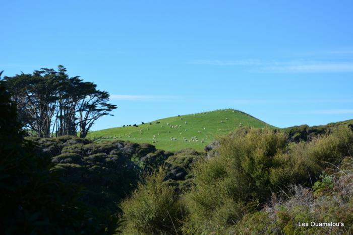 Wharakiri beach