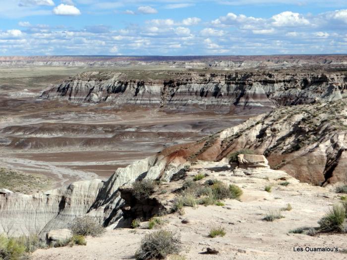 Painted Desert