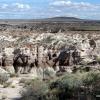 Painted Desert