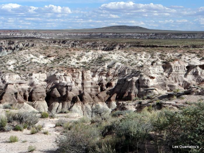 Painted Desert