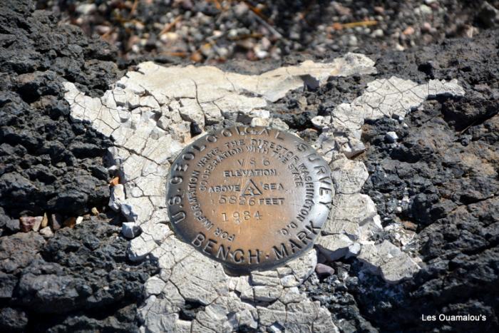 Petrified Forest