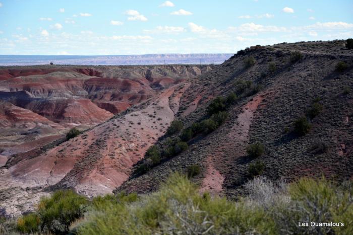 Painted Desert