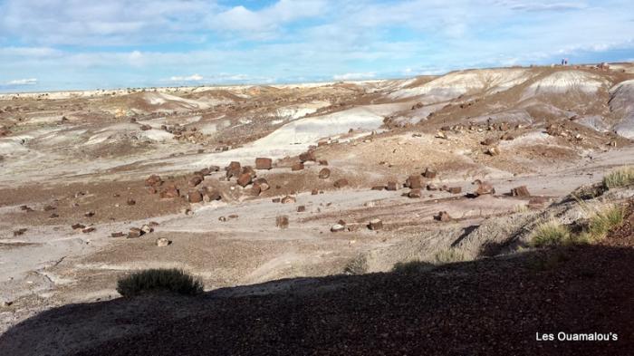 Painted Desert