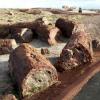 Petrified Forest