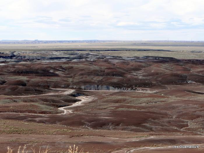 Painted Desert