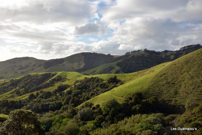 Route vers Coromandel