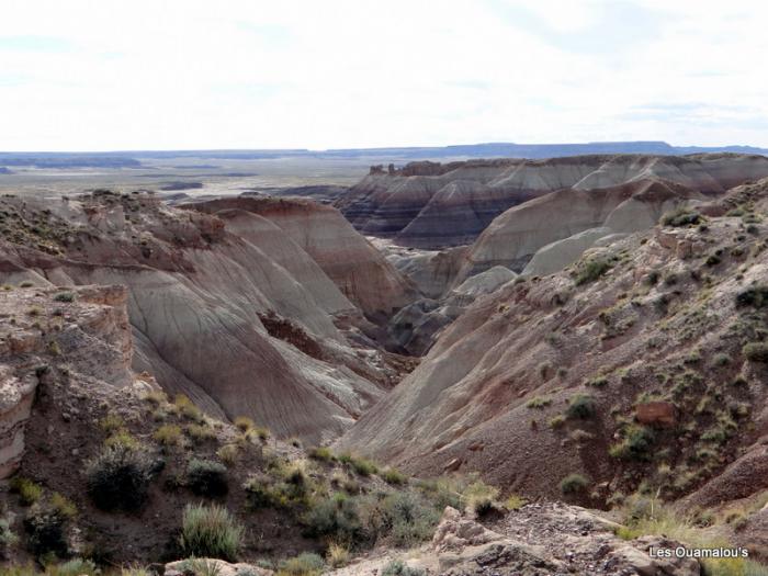 Painted Desert