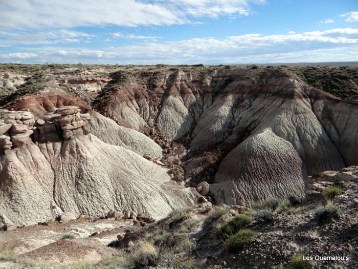 Painted Desert