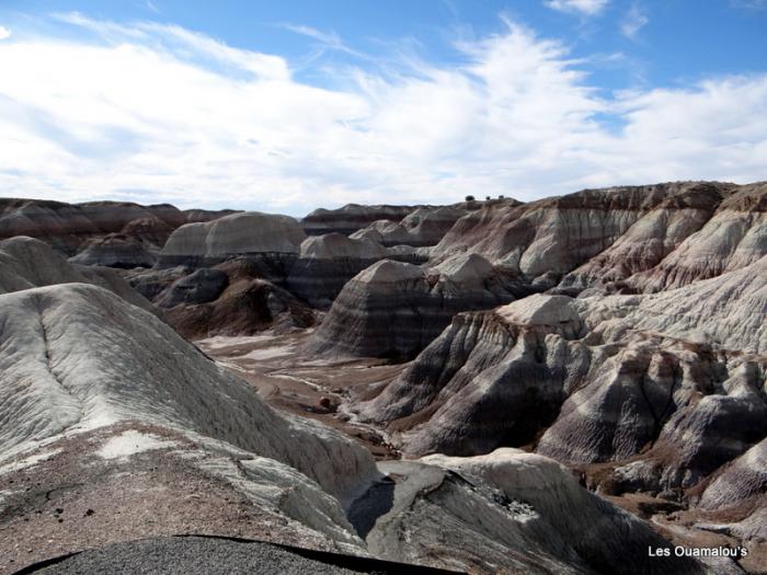 Painted Desert