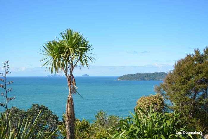 Tairua - Chez Patrick et David