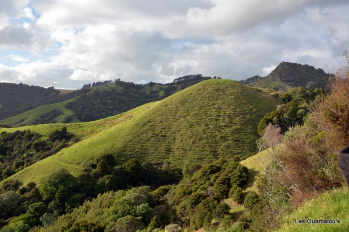 Route vers Coromandel