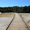 Wai O Tapu