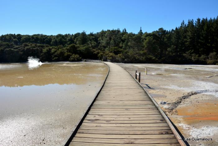 Wai O Tapu