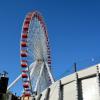 Navy Pier