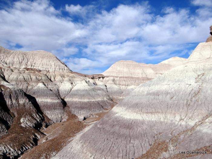 Painted Desert