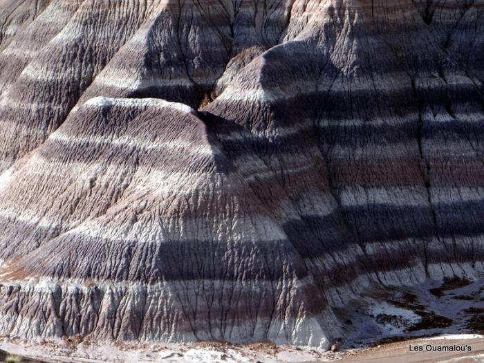 Painted Desert