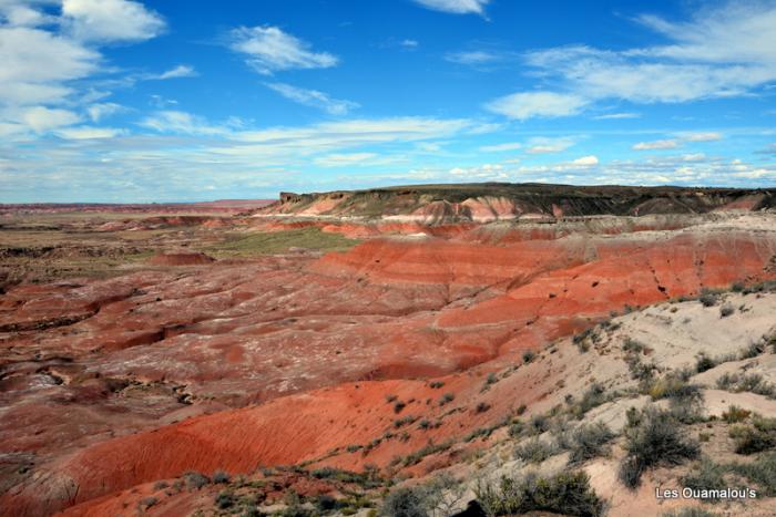 Painted Desert