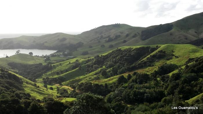 Route vers Coromandel