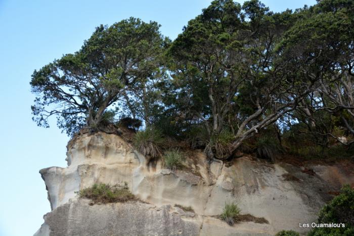 Cathedral Cove