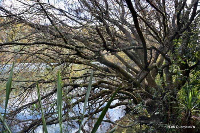 Huka Falls