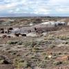 Petrified Forest