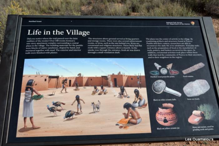 Painted Desert