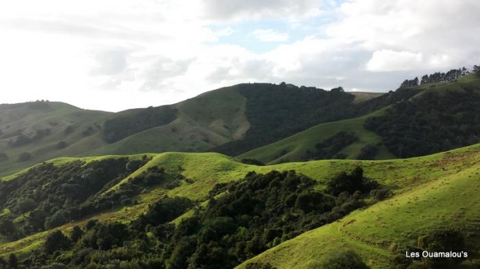 Route vers Coromandel