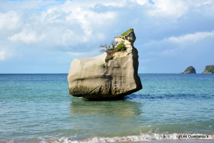 Cathedral Cove