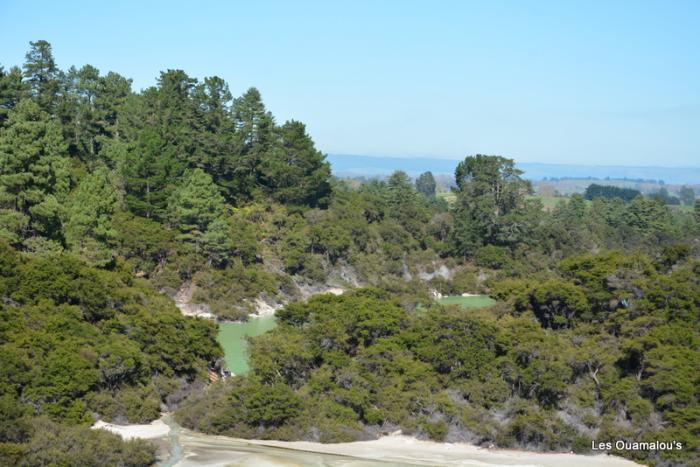 Wai O Tapu