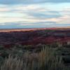 Petrified Forest