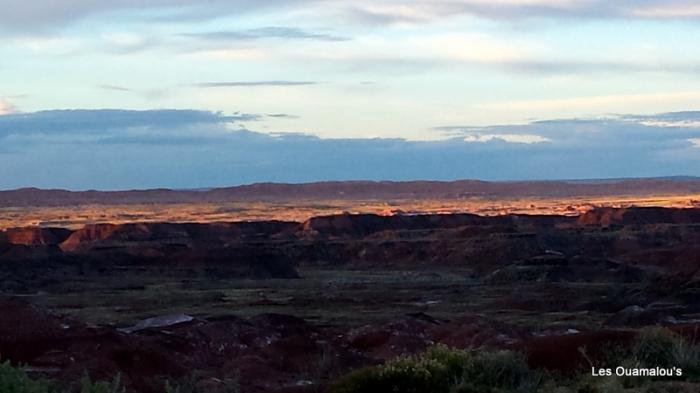 Petrified Forest