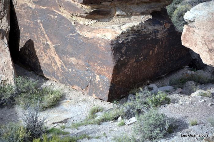 Newspaper Rock