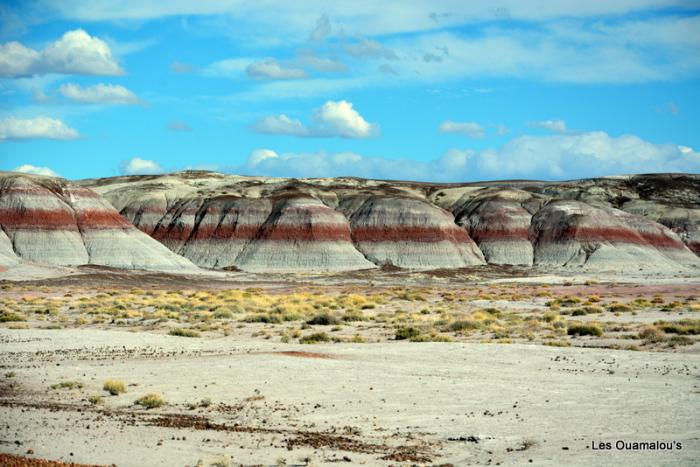 Painted Desert