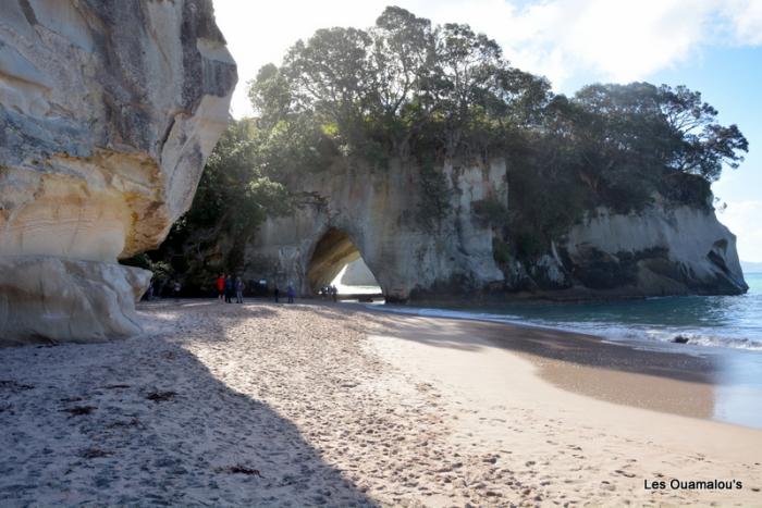 Cathedral Cove