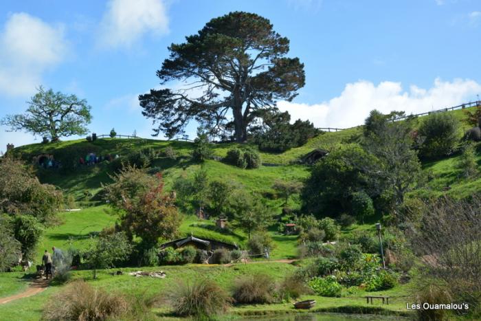 Hobbiton