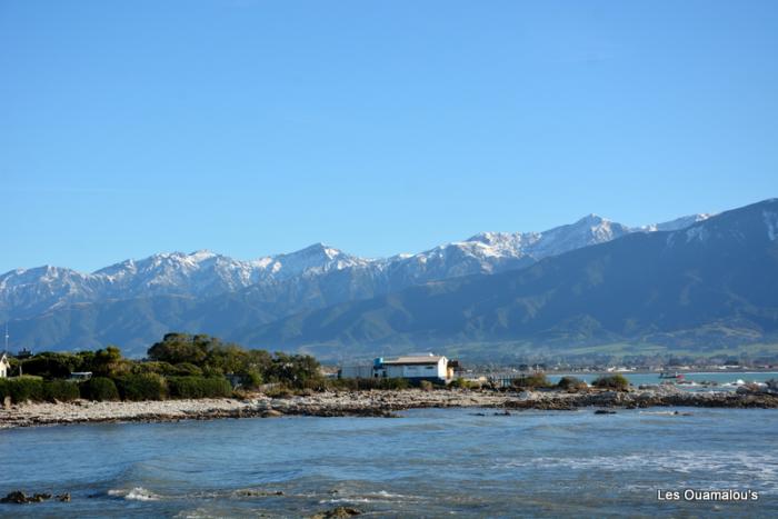 Kaikoura