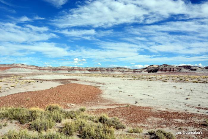 Painted Desert