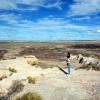 Painted Desert